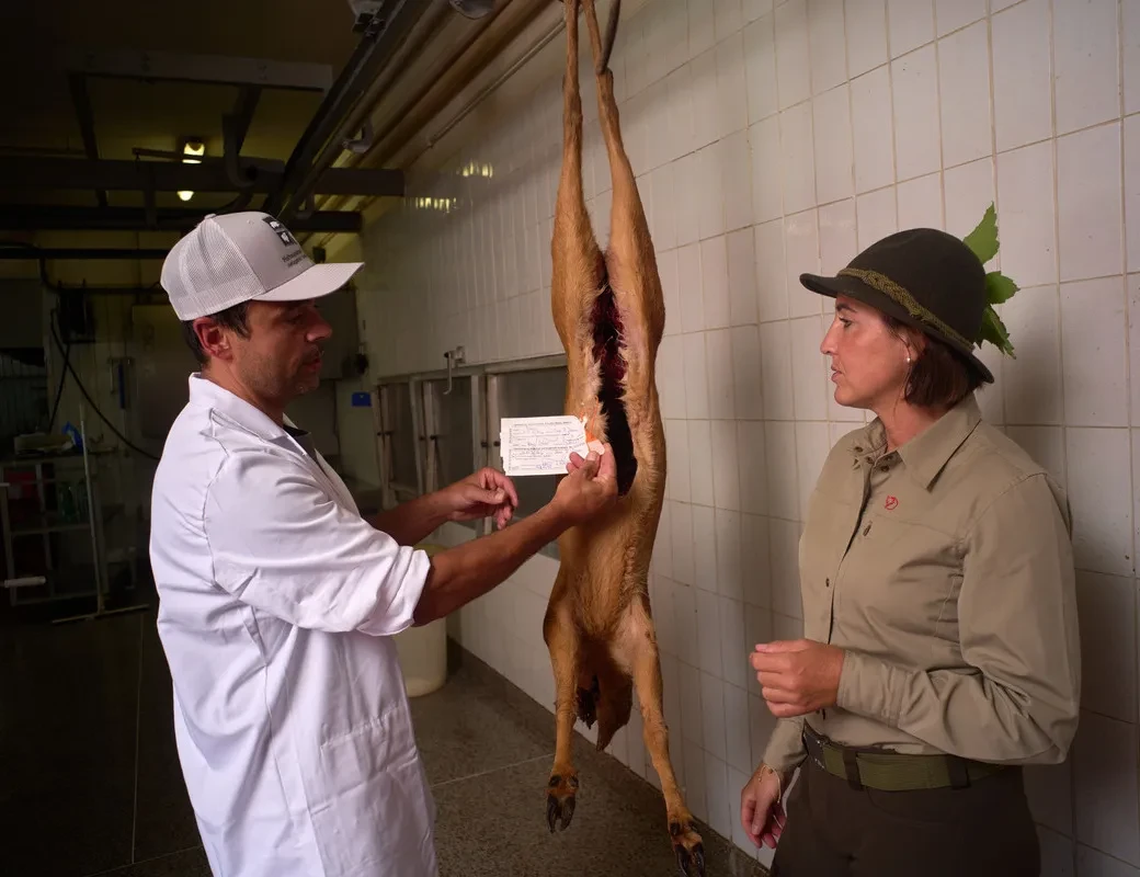 Pongauer Wild_Metzgerei Rettensteiner-Scharfetter_ausgenommenes Reh