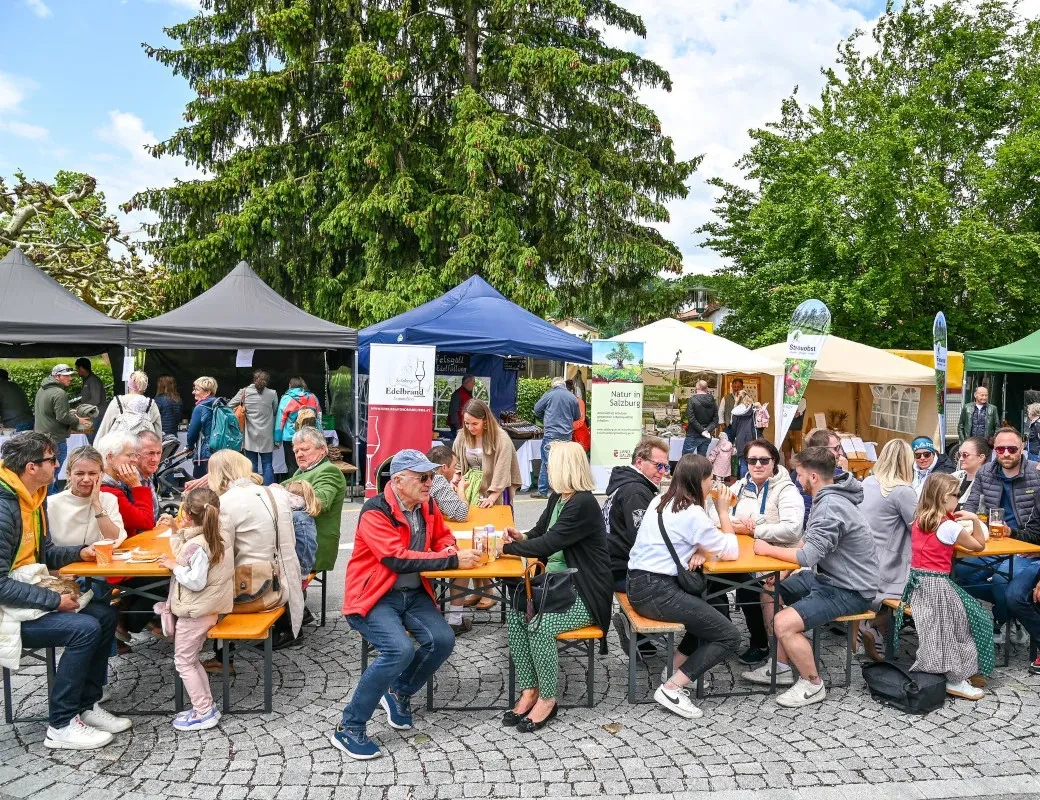 Gemeinde Obertrum_Genuss-Fest 2025