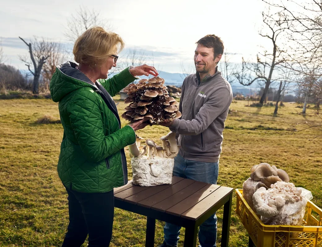 Flachgauer Biopilze_Andreas Eibl zeigt Diätologin Maria Benedikt seine Pilzauswahl