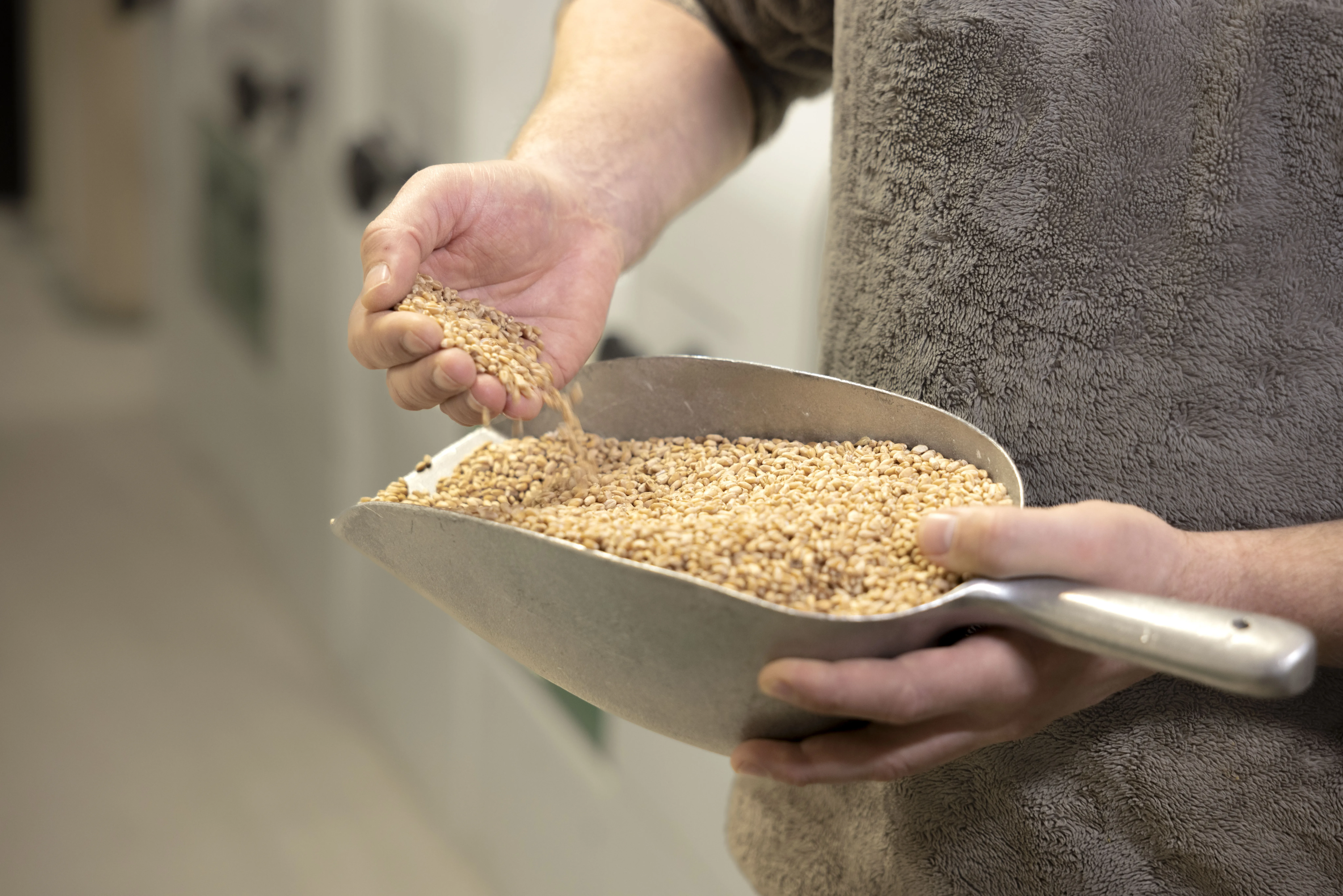 Getreide Schaufel Lerchenmühle