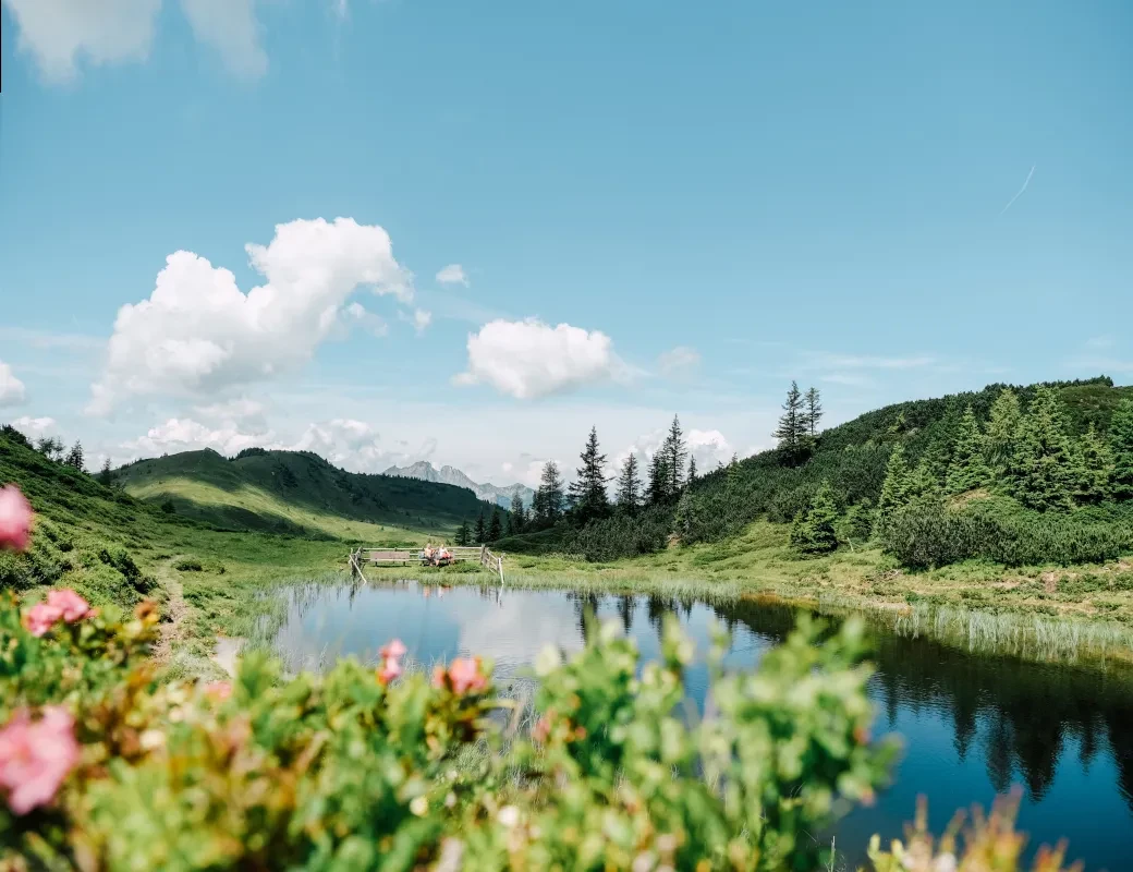 Unterwegs am Salzburger Almenweg