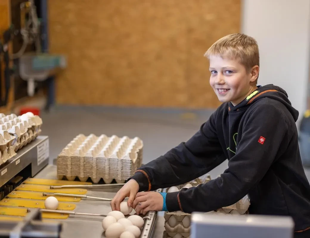 Imlauer Thomanhof_beim Eier Sortieren