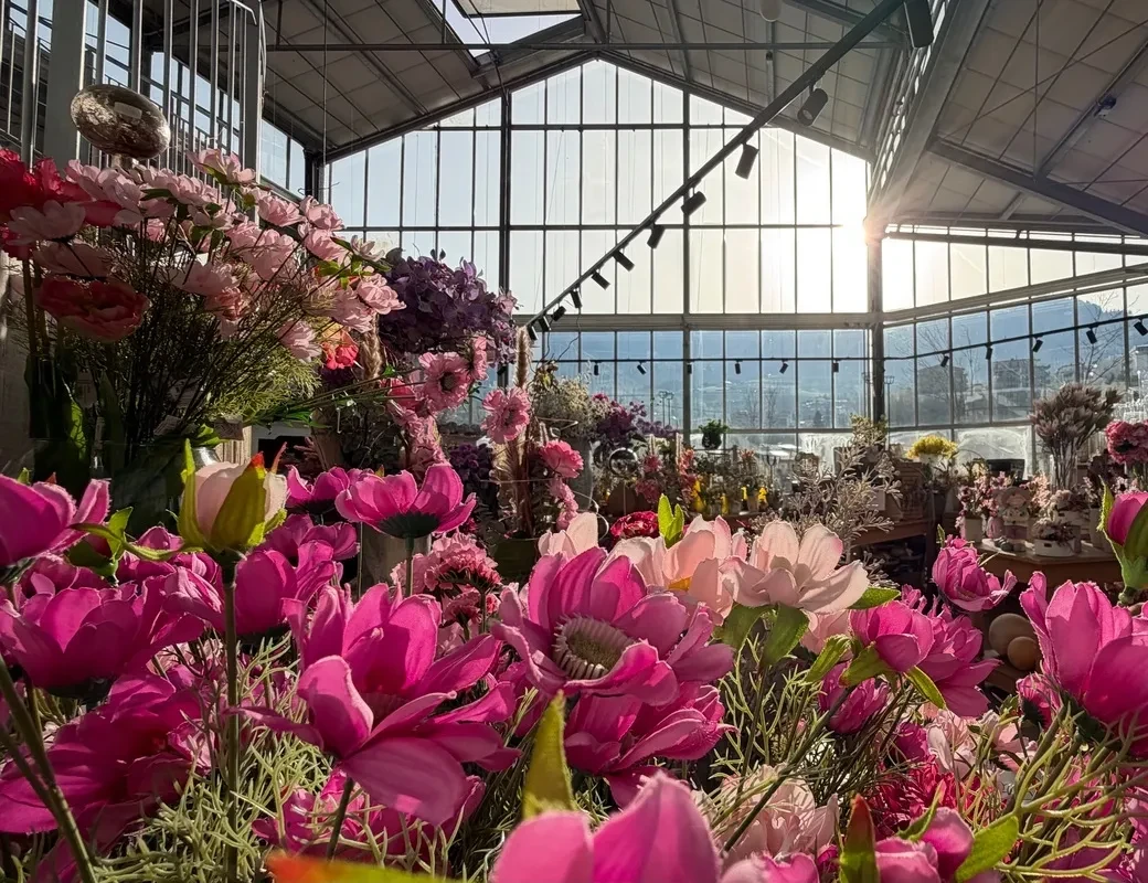 Gartencenter Zachhalmel