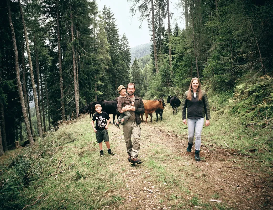 Aignerhof_ Familie Aigner Ganitzer mit Kühen am Forstweg