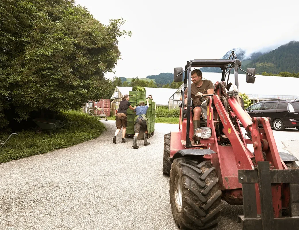 Stechaubauer_Martin Haitzmann am Traktor