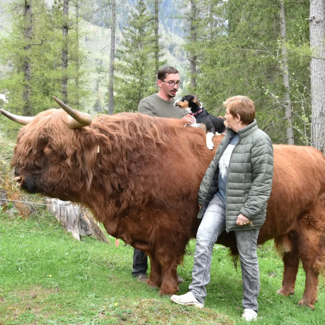 Resi und Bernhard Pirchner vom Frohngütl in Rauris mit einem ihrer Prachttiere.