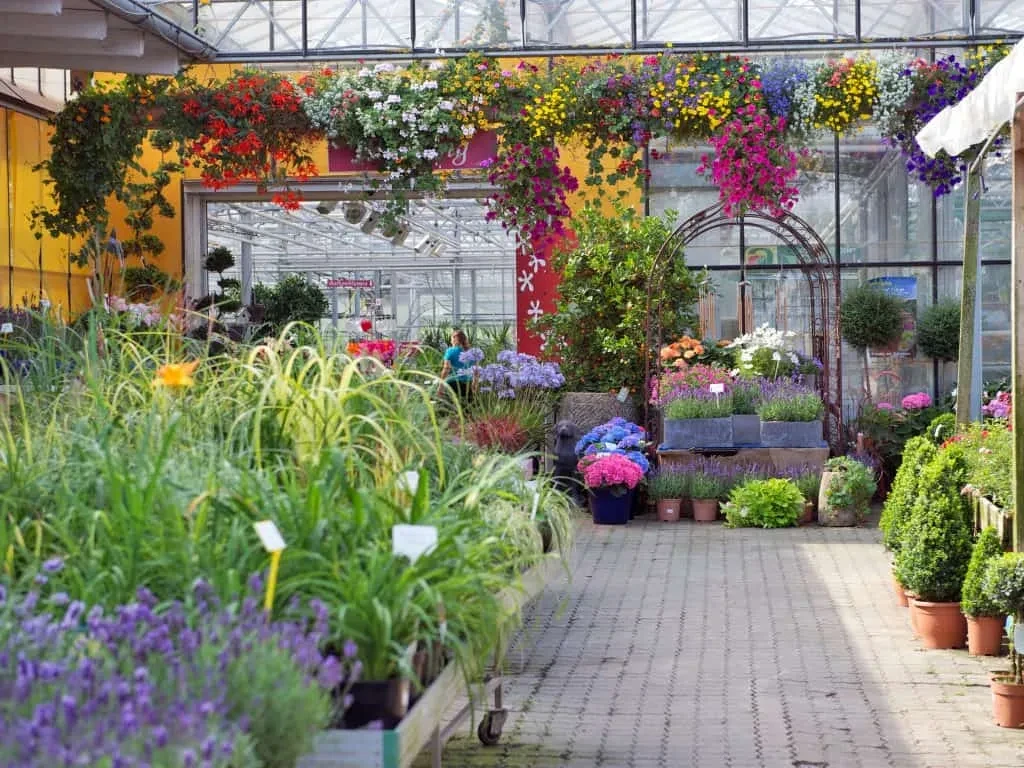 Blumengeschmückter Eingangsbereich der Gärtnerei Trapp