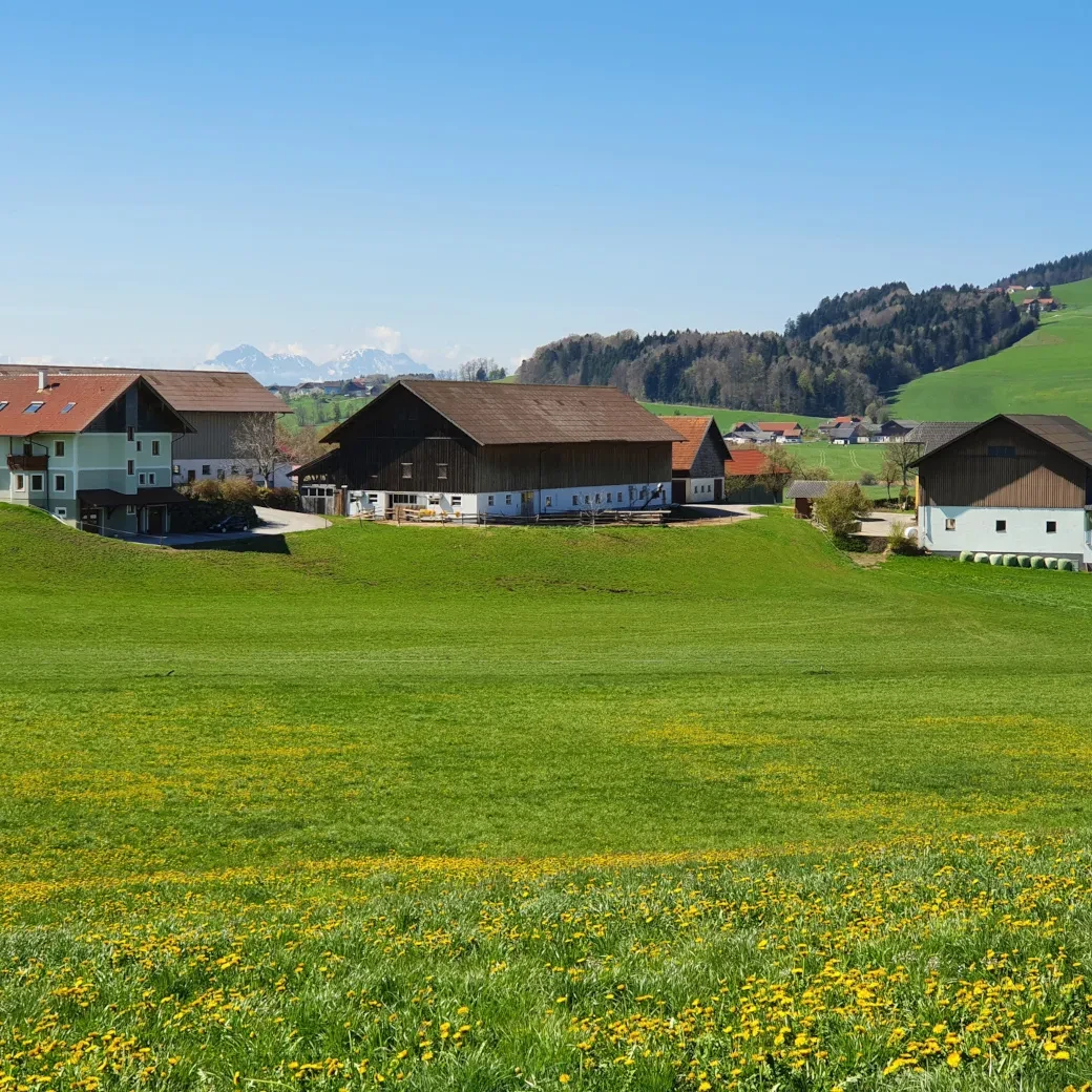 Der Stoff´nhof in Schleedorf