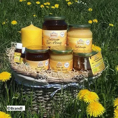 Honig Produktsortiment