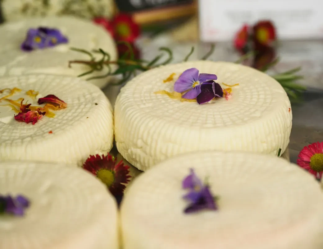 Schreckgut_Frischkäse