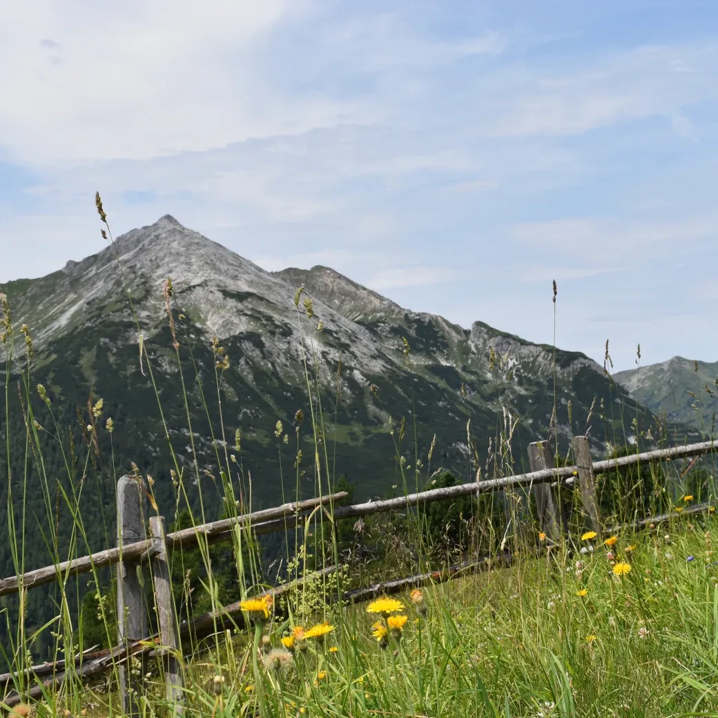 Twengeralm_Aussicht