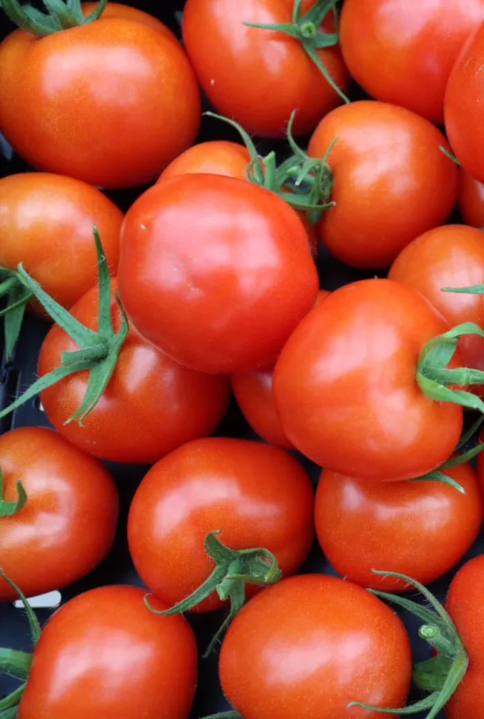 Genusstagebuch #44_Tomaten vom Ökohof Feldinger