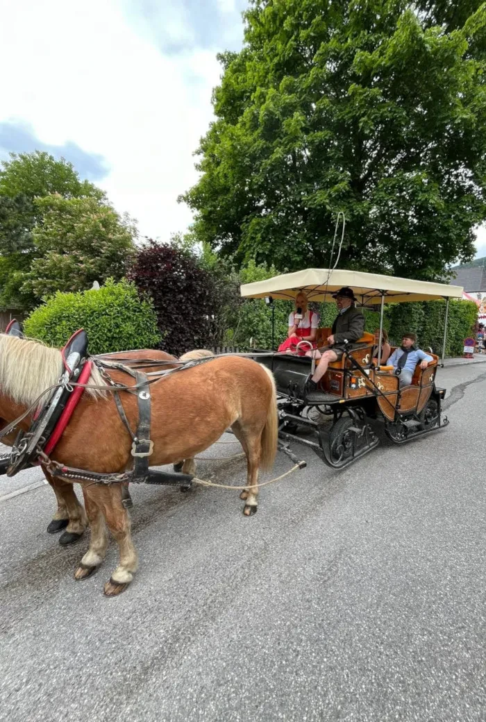 SalzburgerLand Genuss-Fest Altenmarkt_Pferdekutsche