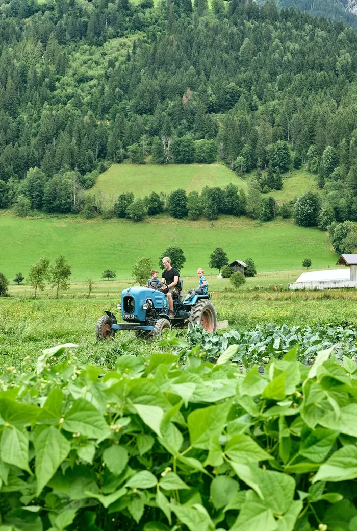 Hintermann_Bad Hofgastein_Michael Stuhler mit dem Traktor am Feld