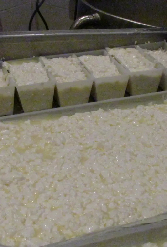 Lehengut_Frischkäseproduktion