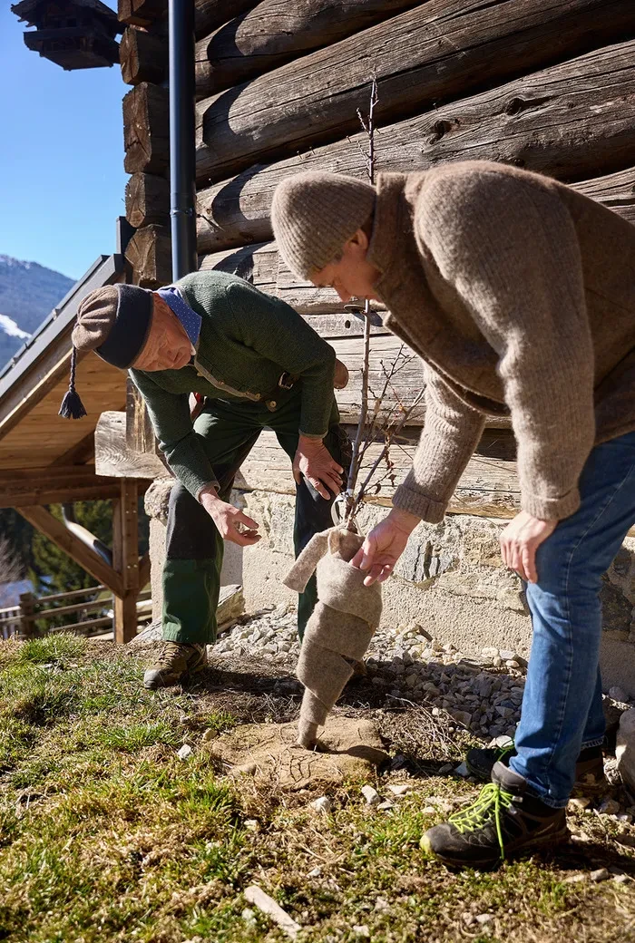 Alpakaalm_Kitzsteingut_Wollvlies als Kälteschutz