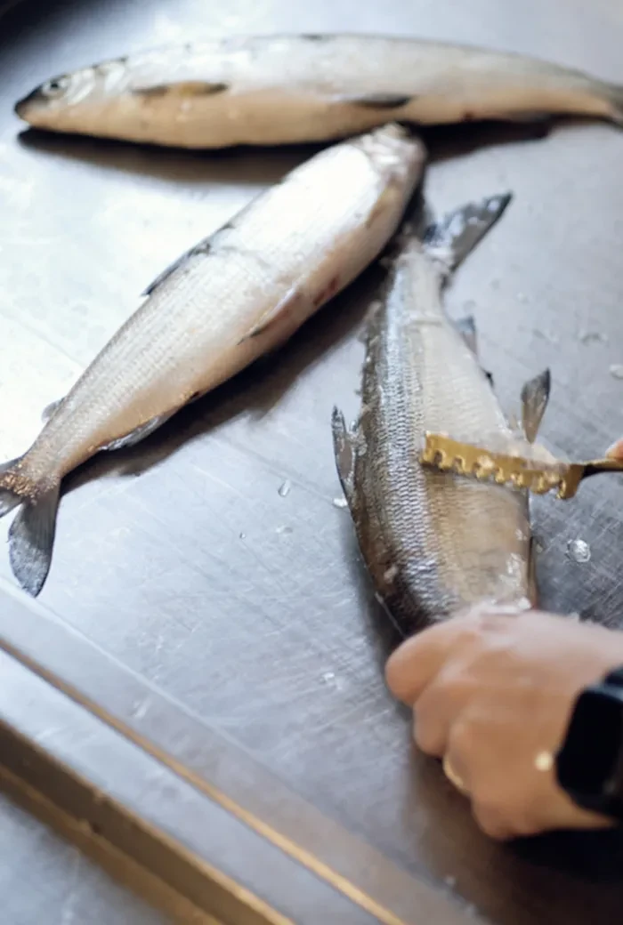 Gasthof Fürberg_Fische werden fangfrisch zubereitet