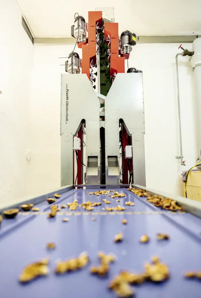 Trumerseen Nuss_Verarbeitungsmaschine