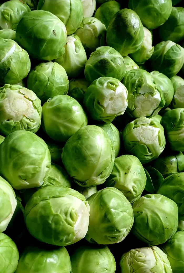 Putzhammer_Feld Winter_Kohlsprossen_geerntet