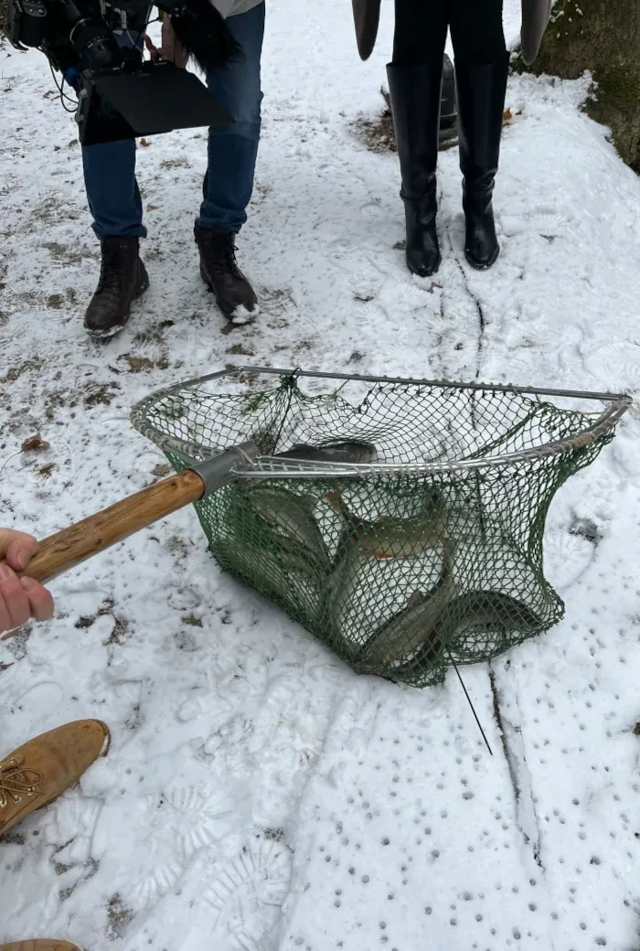 Salzburg schmeckt auf RTS_Februar 26_Fische im Netz