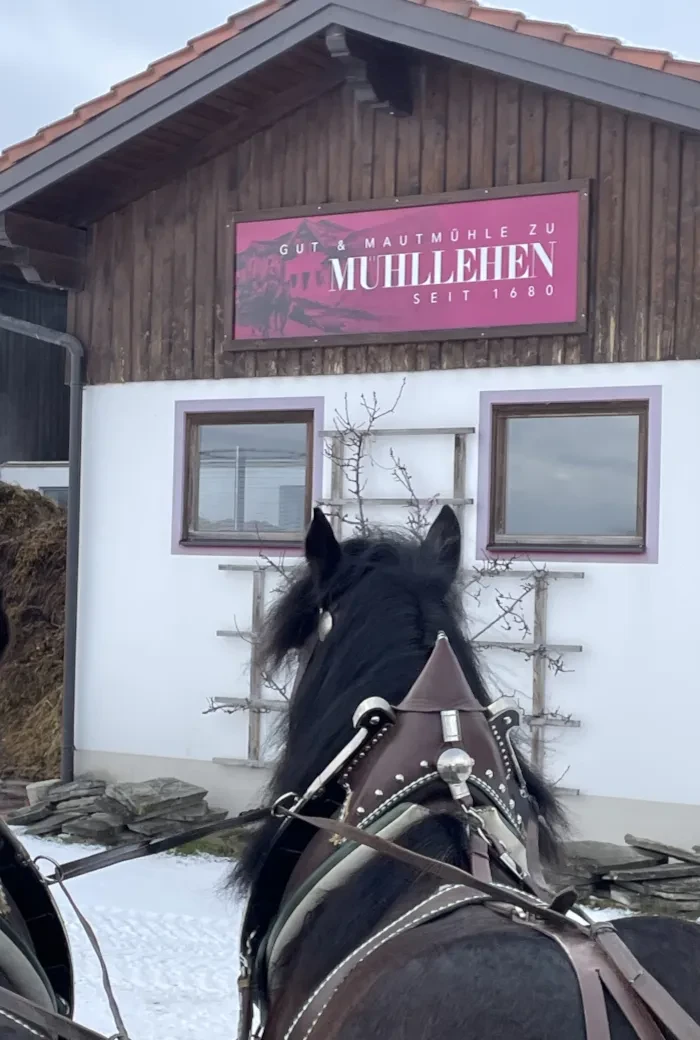 Salzburg schmeckt auf RTS_Februar 26_Kutschenfahrt am Mühllehengut