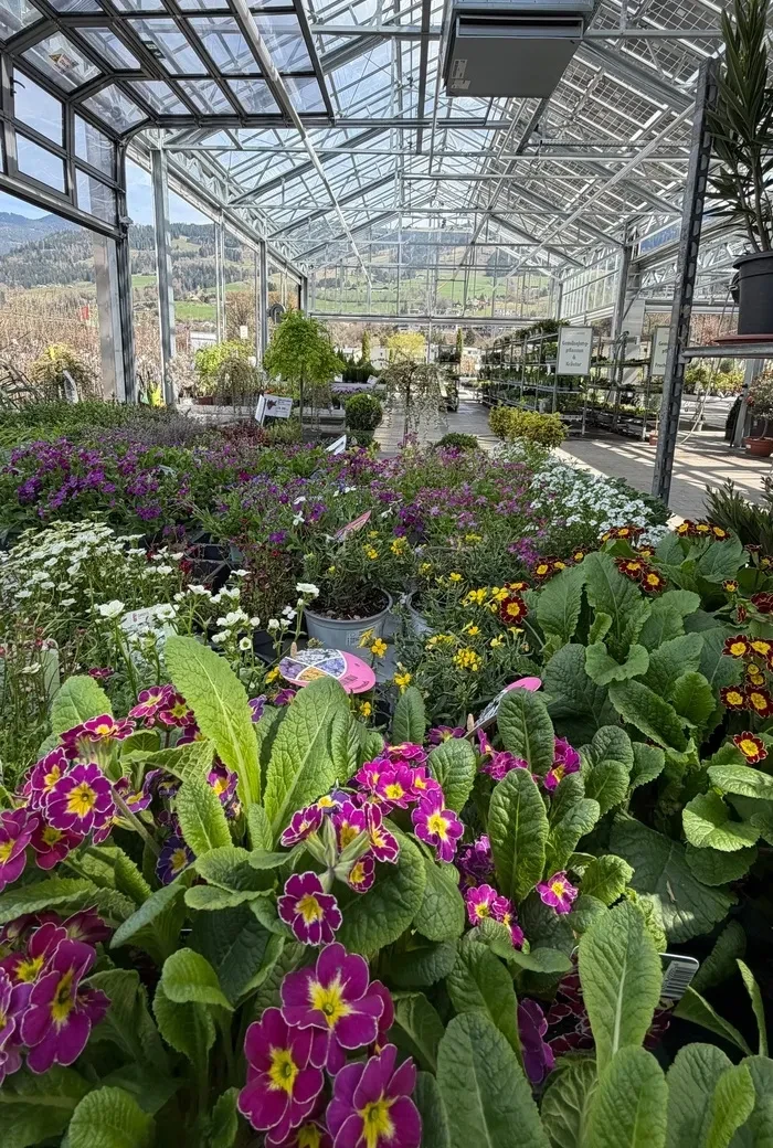 Gartencenter Zachhalmel