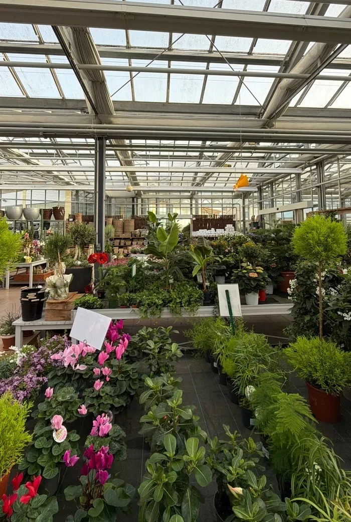 Gartencenter Zachhalmel