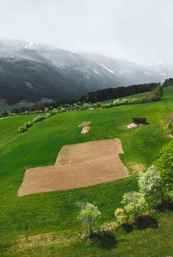 Genusstagebuch #64_Saubohnen Feld