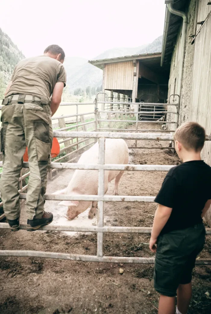 Aignerhof_ Thomas Aigner mit Sohn Finn beim Schweinefüttern