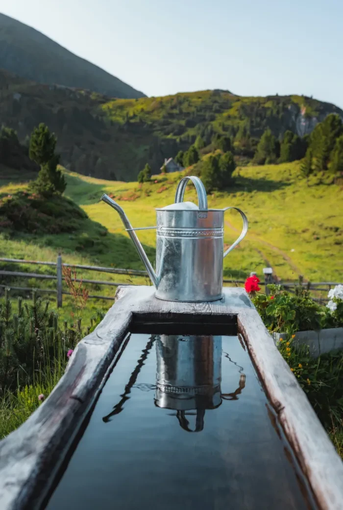 Twengeralm_Brunnen