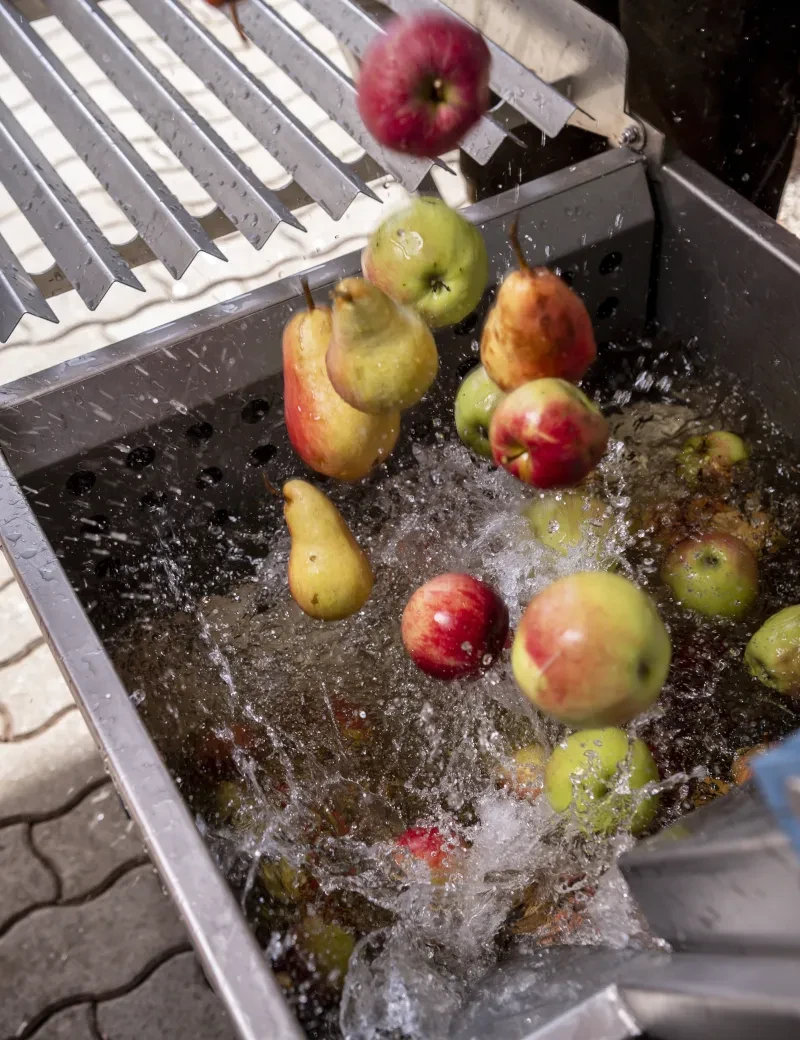 Obstbau Leitner_ Äpfel und Birnen in der Waschanlage