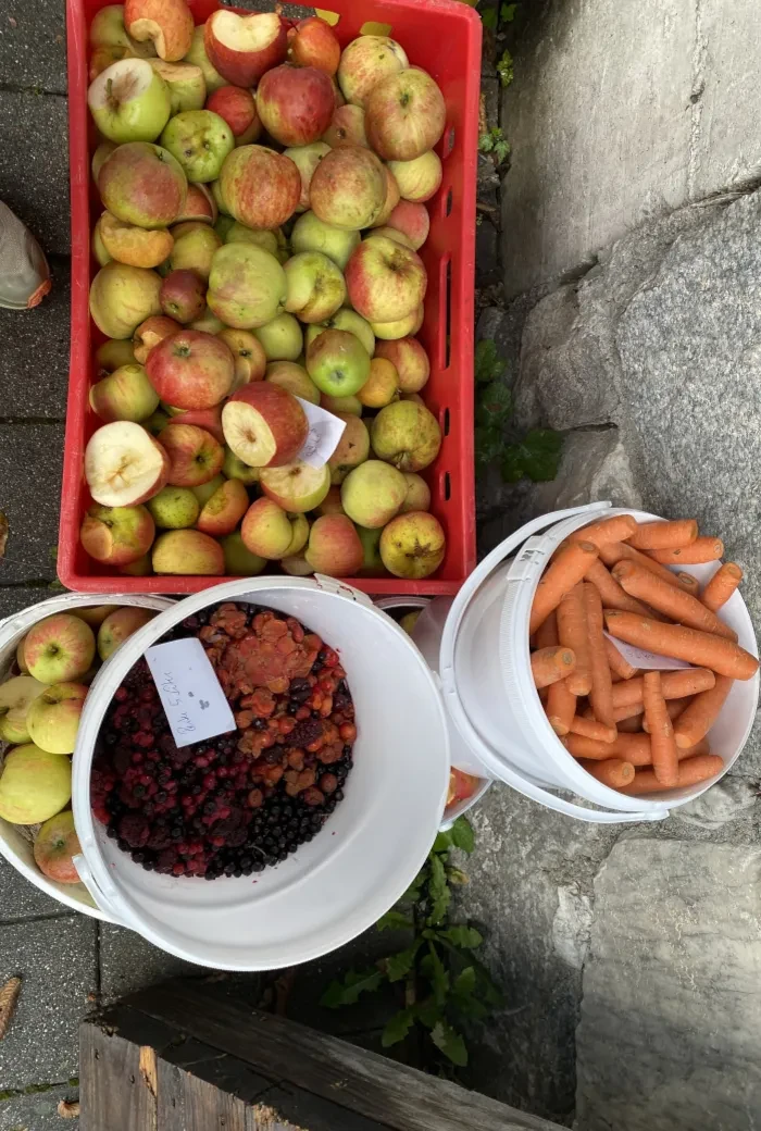 Obstpresse Bramberg_Beeren, Äpfel, Karotten