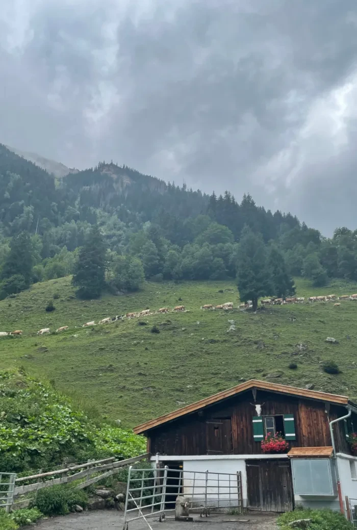 Salzburg schmeckt auf RTS_Bauernbaueralm Ferleiten