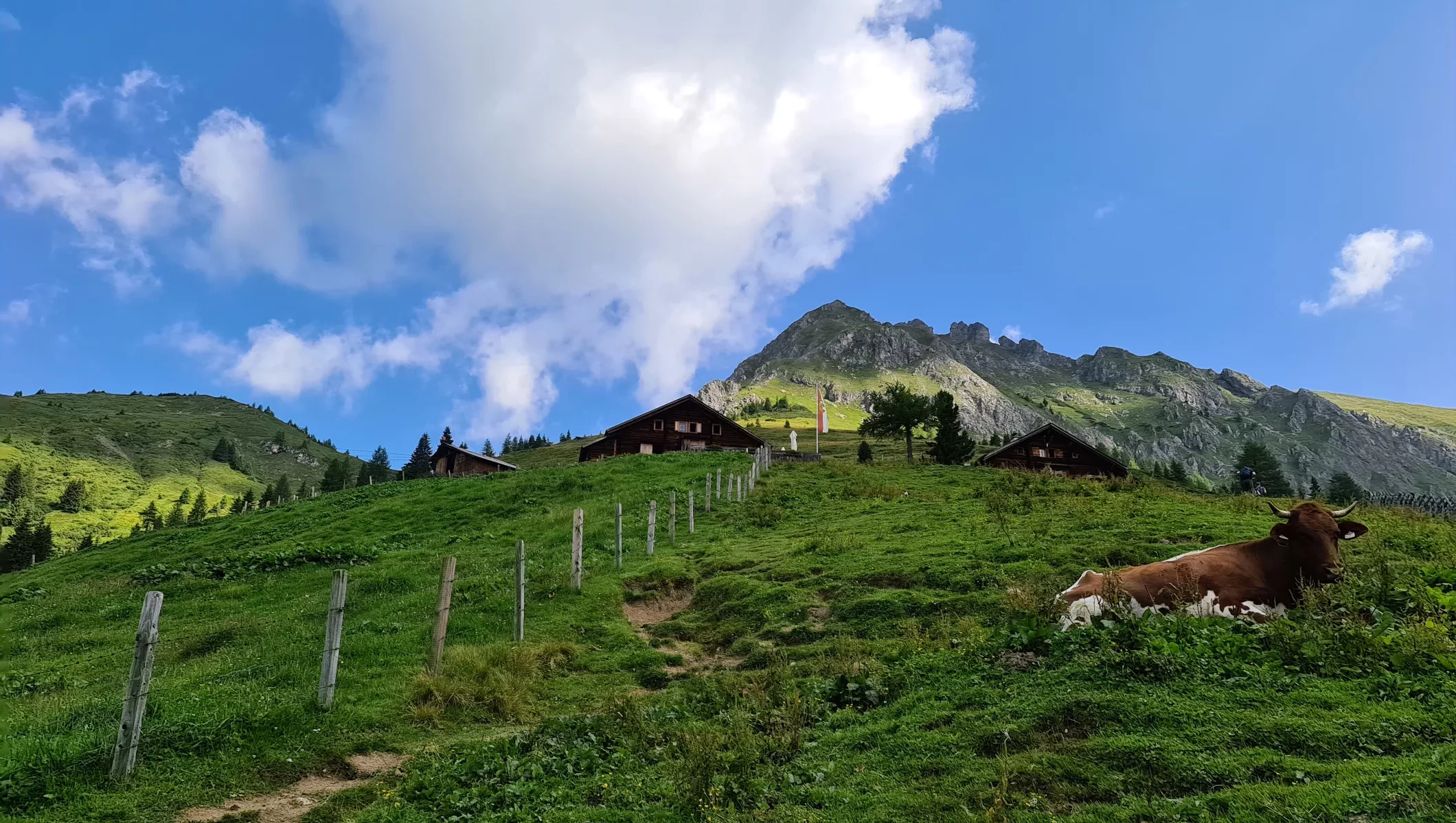 Am Weg zur Draugsteinalm im Großarltal