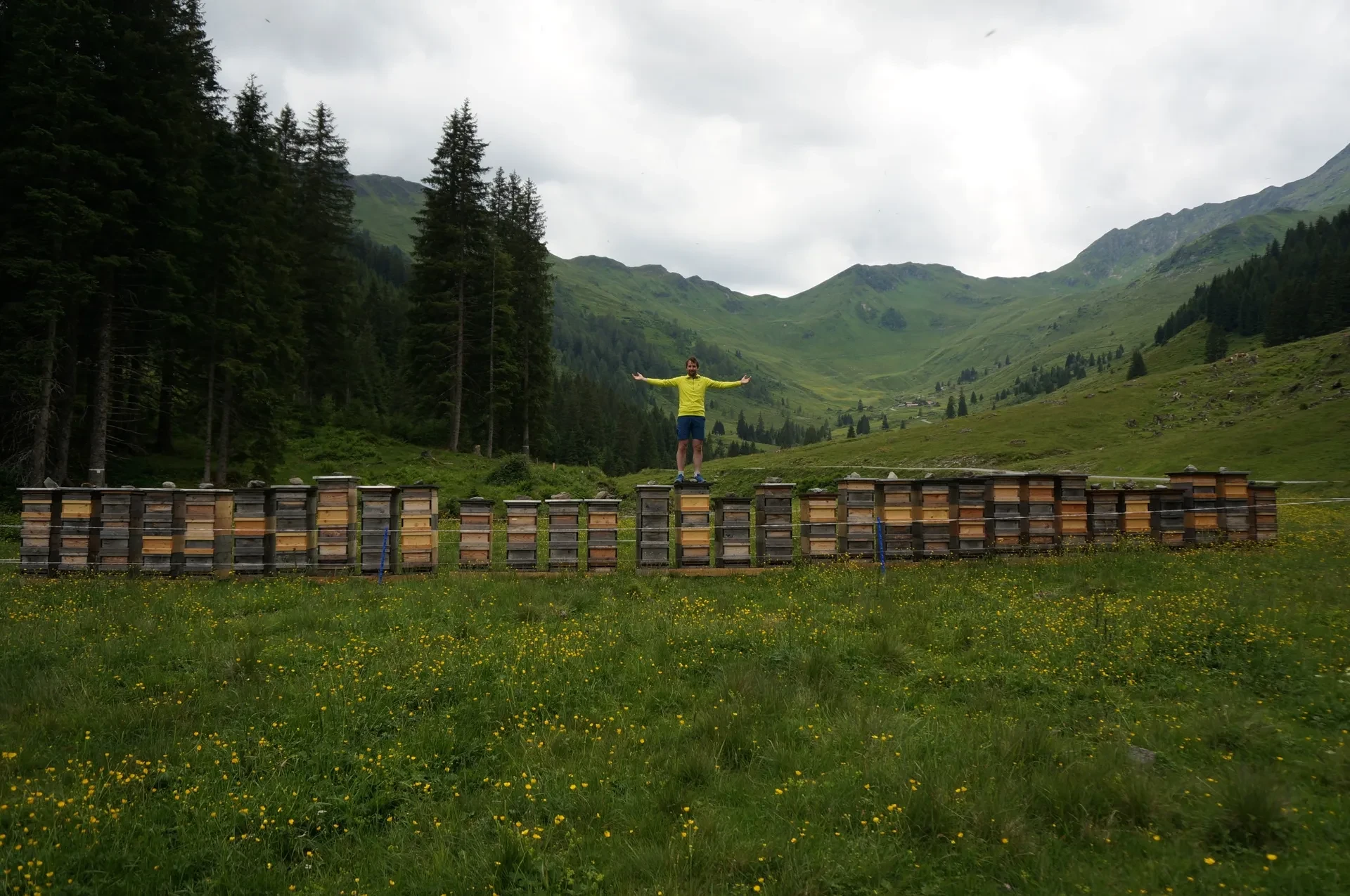 Imker Alfred Bründl auf seinen Bienenstöcken