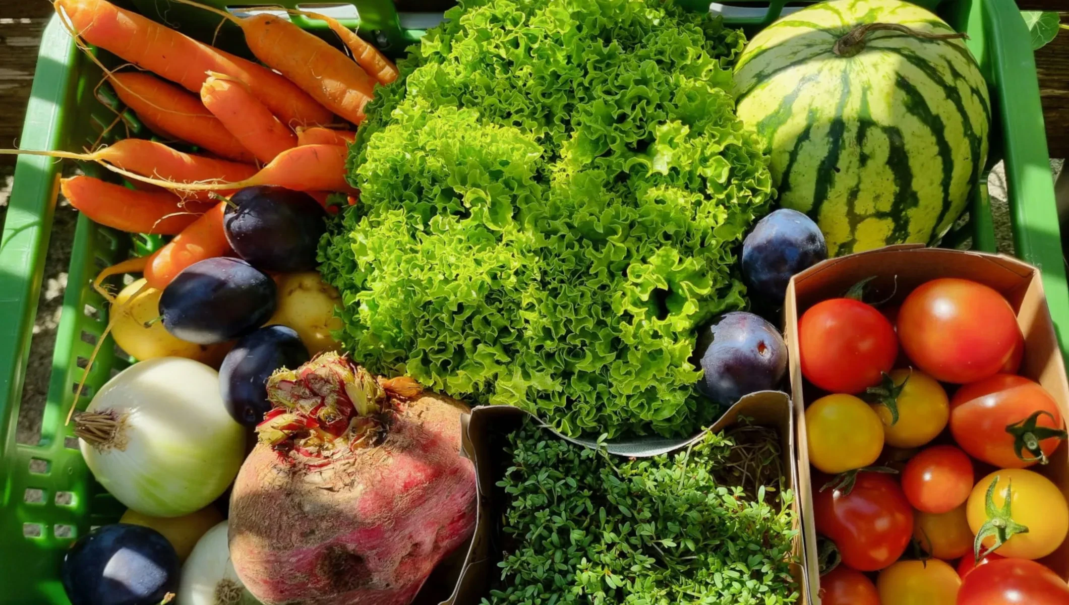Fanny Fresh_FreshBox