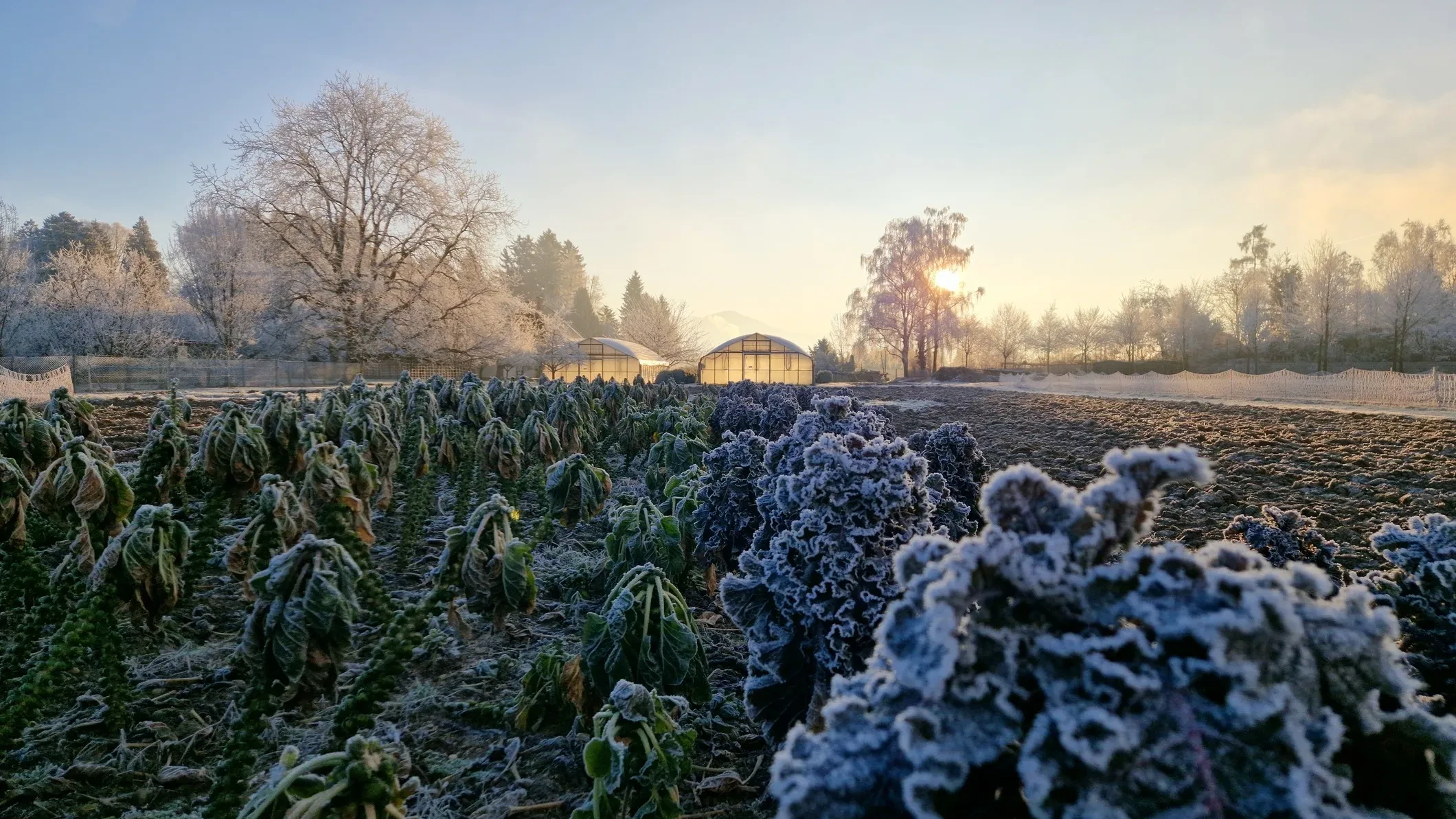 Familie Putzhammer_Krautfeld im Winter