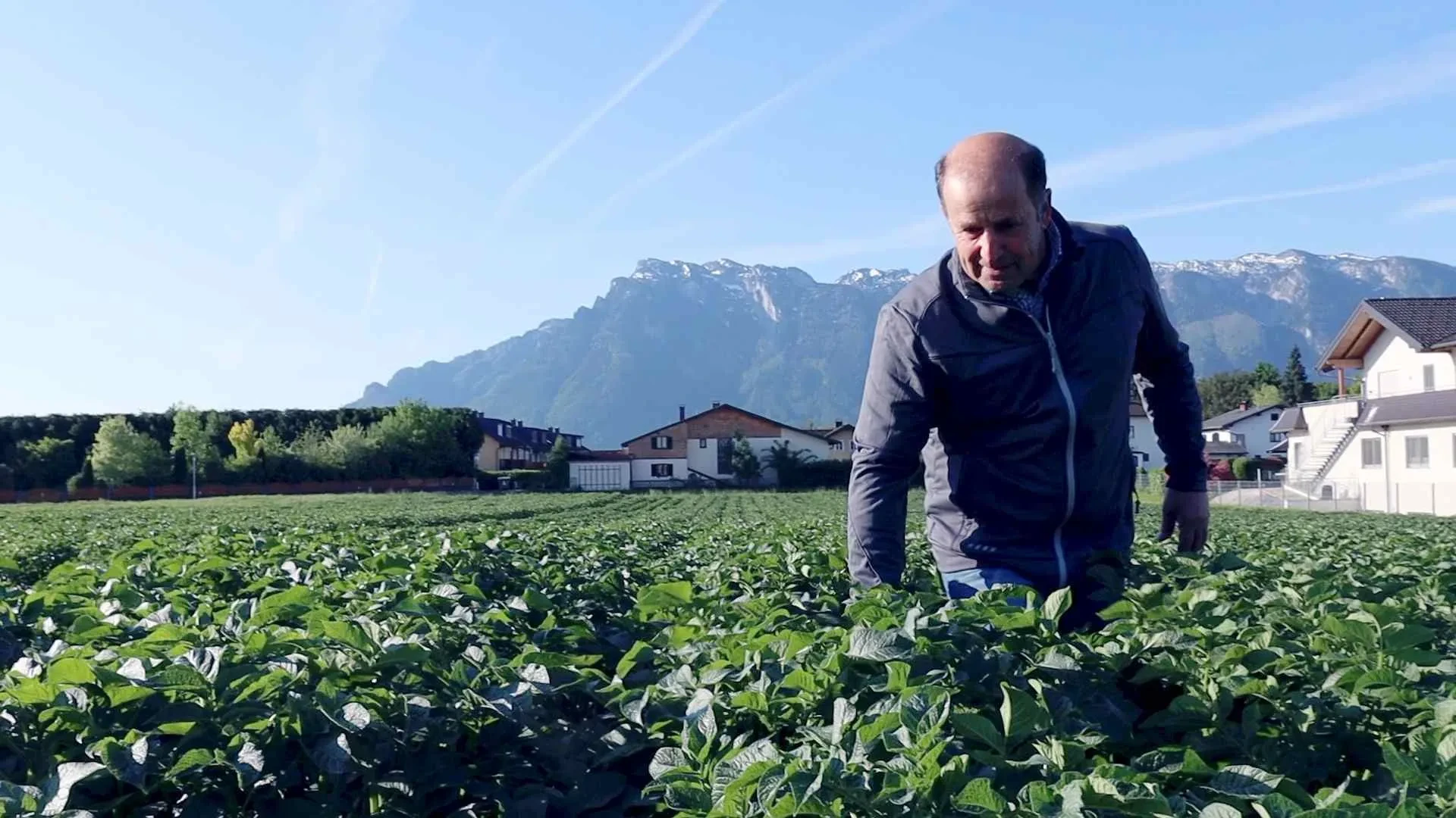 Gemüsebauer auf einem Feld in Wals-Siezenheim
