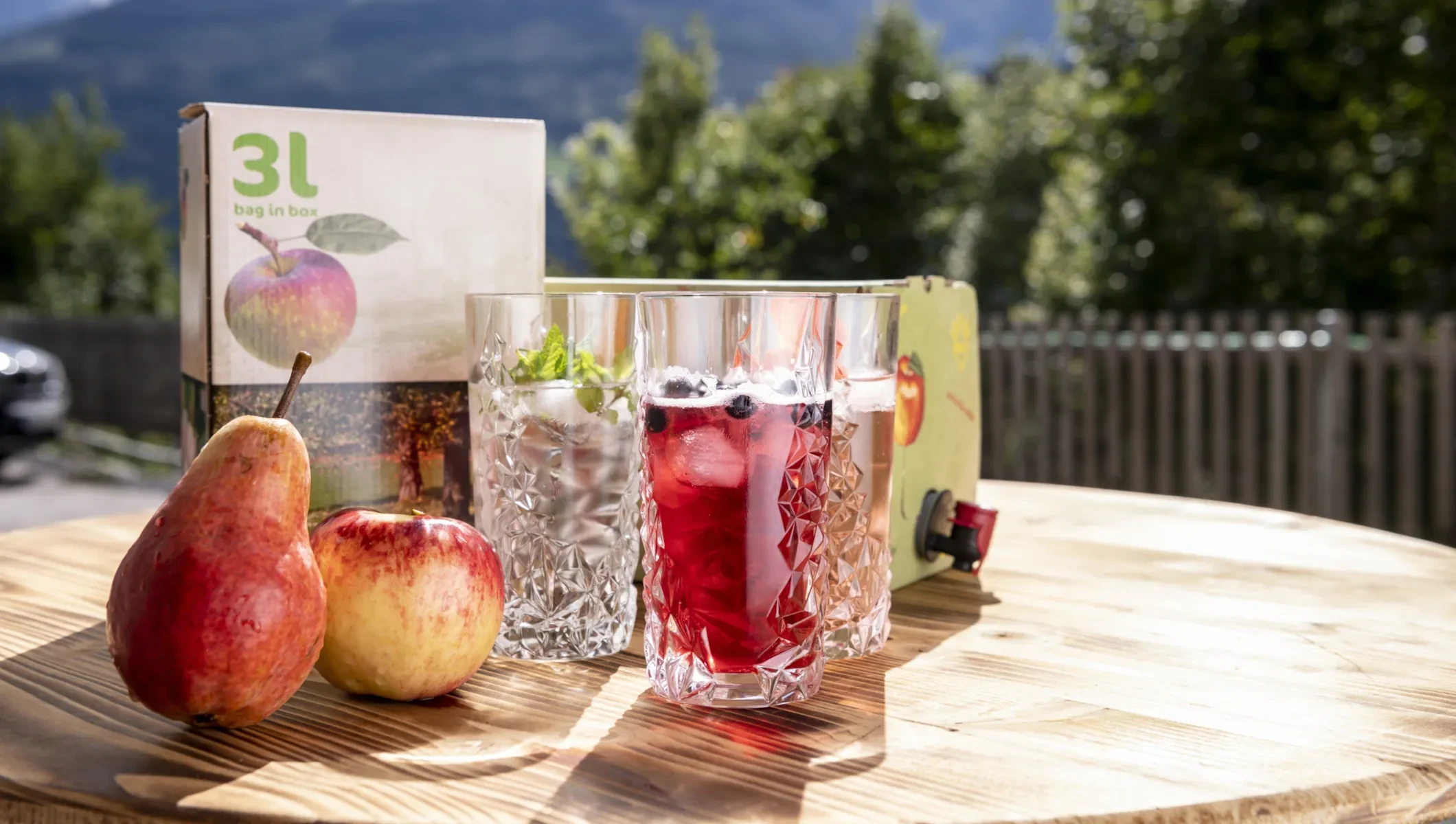 Obstbau Leitner_ Säfte