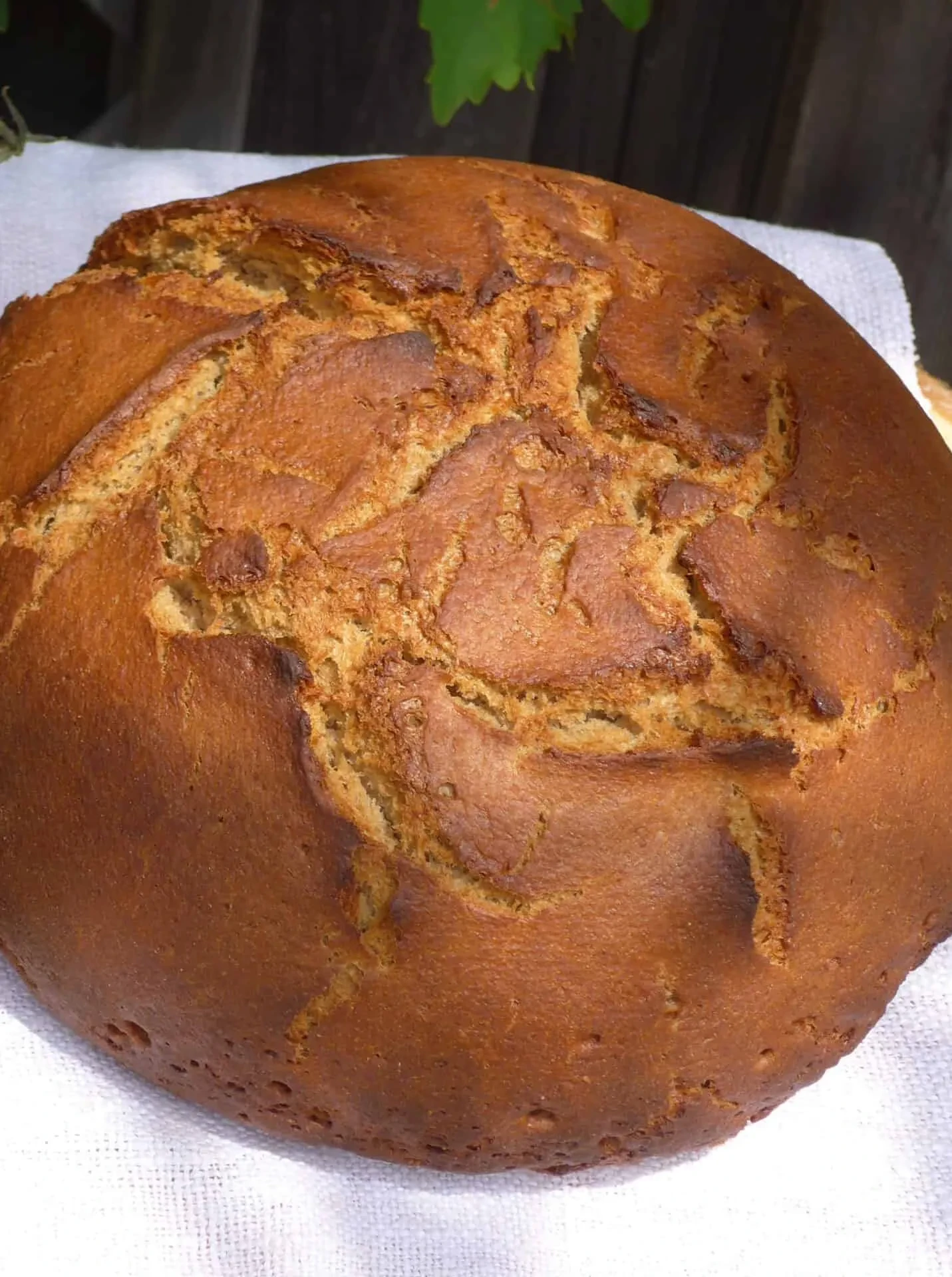 sauerteigbrot_martha-neumaier