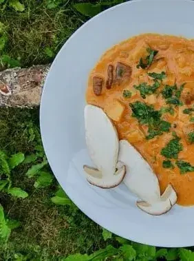 Pilzgulasch