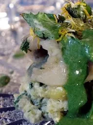 Pochierter Fisch