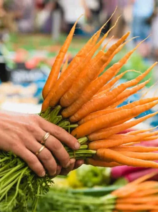 Auf der Salzburger Schranne gibts Vitamine und knackiges GemĂŒse ohne Ende.