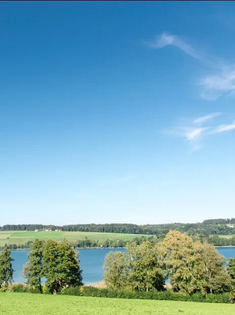 Mitterhof0098- © Mitterhof.jpg (658.59 KB)