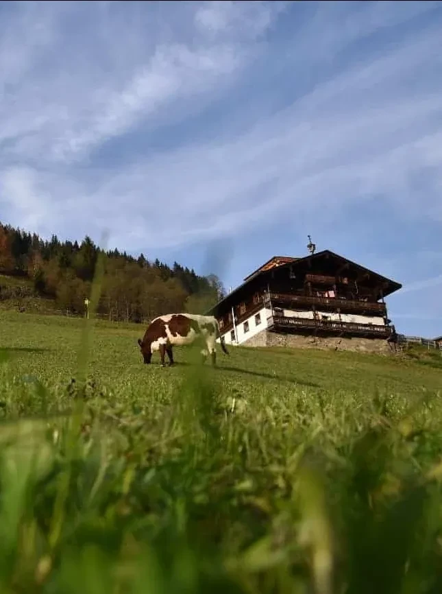 Wiesberghof