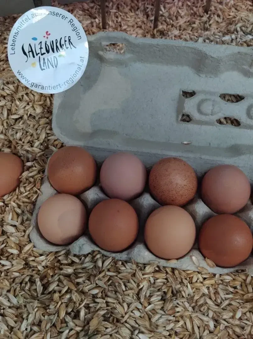 Eier in Schachtel