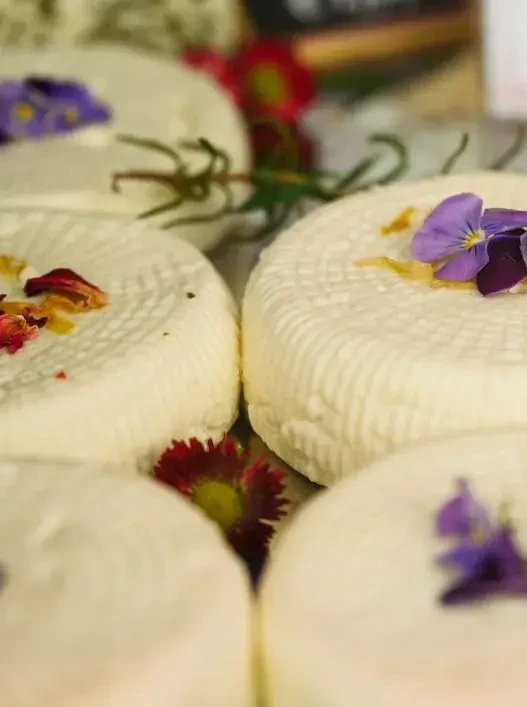 Weichkäse natur