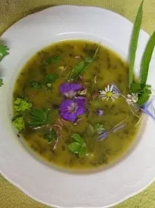 Wildkräutersuppe