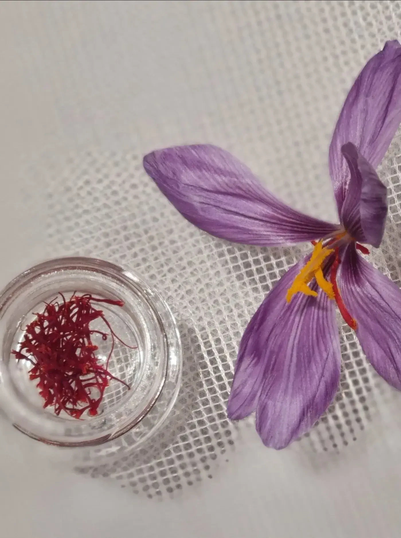 Ottinghof Leoganger Safran Produkt Blüte