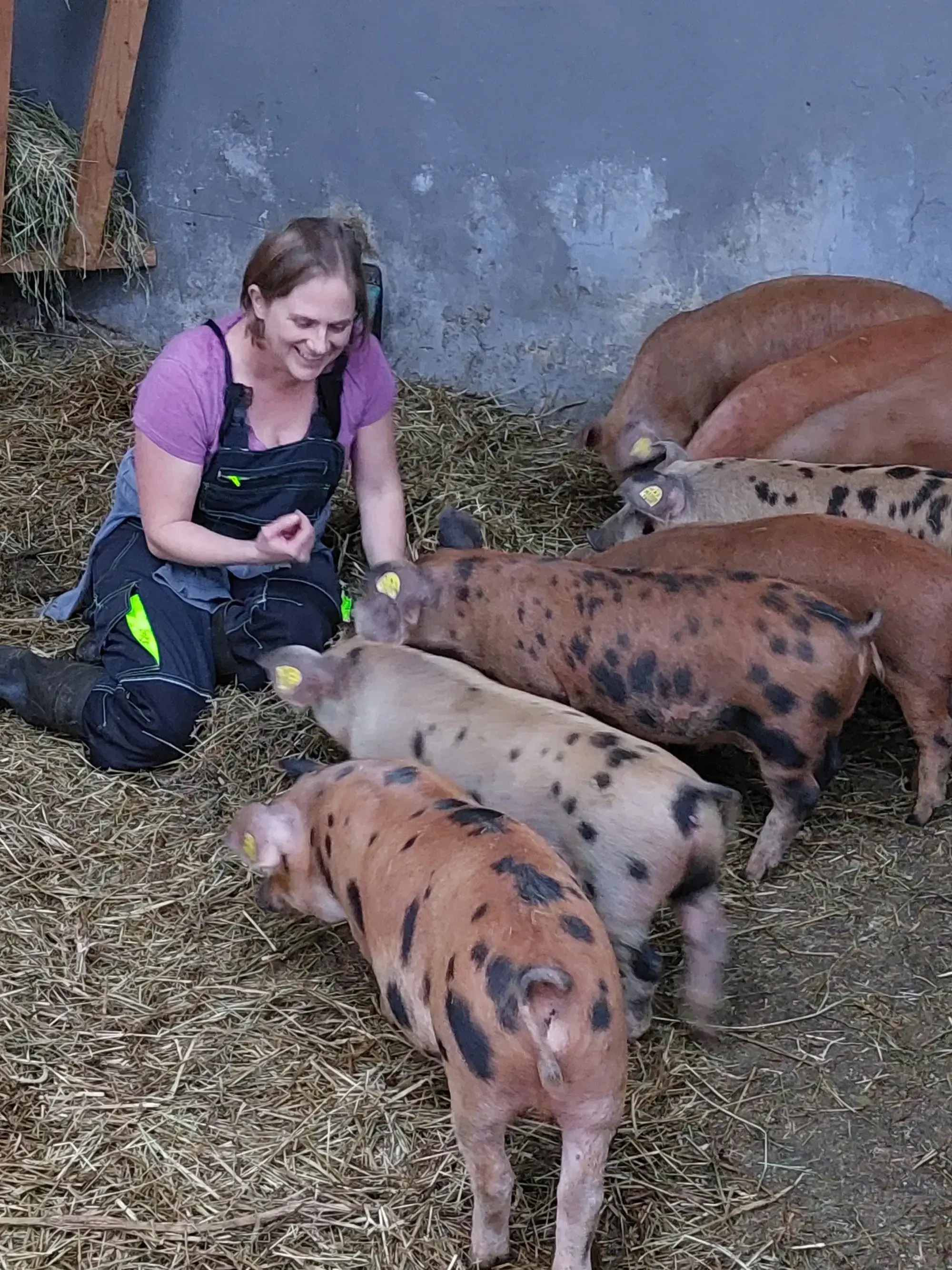 Agnes mit Schweinen